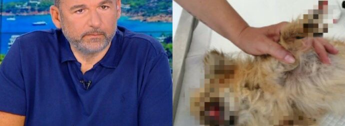 Προσοχή σκληρές εικόνες: Γνωστός μουσικοσυνθέτης κατηγορείται για κακοποίηση και παραμέληση ζώου – Ποιος είναι;