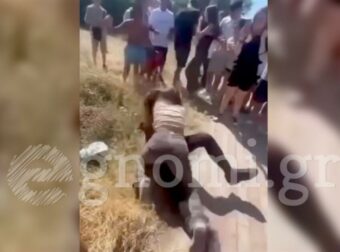 Άγριο ξύλο μεταξύ μαθητριών έξω από σχολείο – Ζητωκραύγαζαν και τραβούσαν βίντεο – Πέφτει και τη χτυπούν άγρια συμμαθητές της (video)