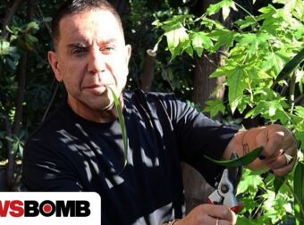Γιώργος Μαζωνάκης: Έπιασε το κλαδευτήρι για να περιποιηθεί τον κήπο του – «Αγρότης μόνος ψάχνει»