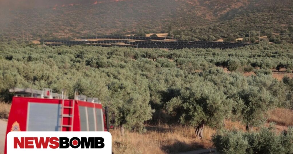 Φωτιά Βοιωτία: Γιατί καίγεται ο τόπος  και δεν σηκώνεται ούτε ένα εναέριό; Τι απαντά η πυροσβεστική