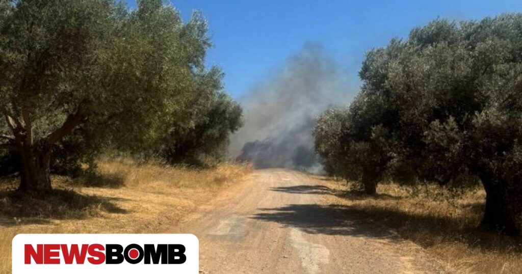 Φωτιά στα Σπάτα: Νεκρός βρέθηκε οδηγός μέσα στο αυτοκίνητό του