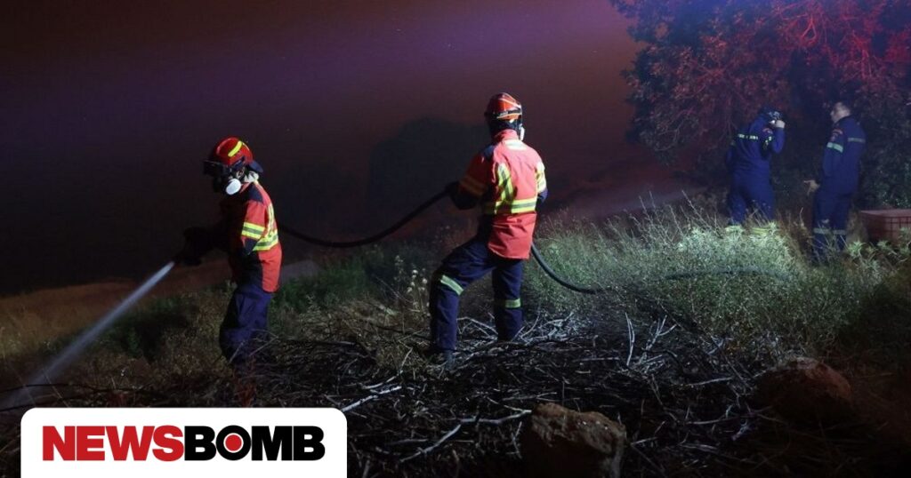 Πυρκαγιά στην Κέρκυρα – Καίγεται δάσος στον Άγιο Γεώργιο