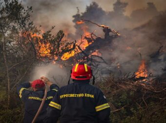 Χαϊδάρι: Συνελήφθη 54χρονος για τη φωτιά στον Βοτανικό Κήπο – Χρησιμοποιούσε θαμνοκοπτικό