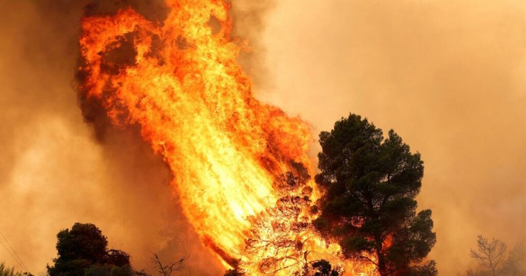 Φωτιές σε Βοιωτία και Αττική: Συνελήφθη δήμαρχος – Στο μικροσκόπιο η κατασκευαστική εταιρεία του – Από εκεί φαίνεται να ξεκίνησε η φωτιά (video)