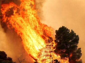 Φωτιές σε Βοιωτία και Αττική: Συνελήφθη δήμαρχος – Στο μικροσκόπιο η κατασκευαστική εταιρεία του – Από εκεί φαίνεται να ξεκίνησε η φωτιά (video)