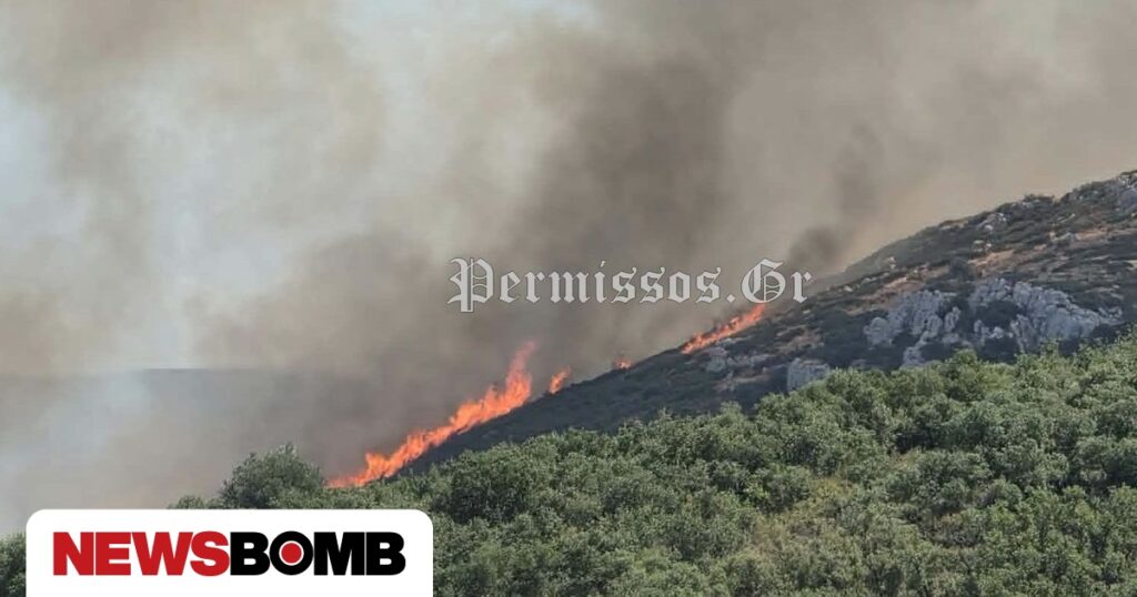 Φωτιά στον Μύτικα Θήβας: Ενισχύθηκαν οι δυνάμεις – Επιχειρούν 14 εναέρια μέσα
