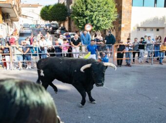 Ταύρος σκότωσε 64χρονη σε αγώνα ταυροδρομίας – Συγκλονιστικό βίντεο από την επίθεση (Σκληρές εικόνες)