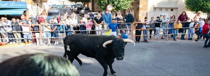 Ταύρος σκότωσε 64χρονη σε αγώνα ταυροδρομίας – Συγκλονιστικό βίντεο από την επίθεση (Σκληρές εικόνες)